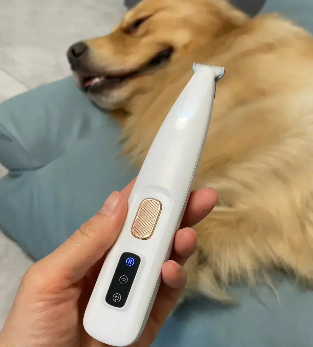 ⏰🐕Rechargeable Pet Hair Trimmer Kit ✨ by mysite